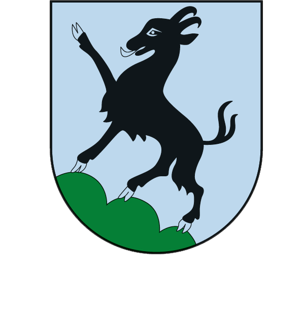 Wappen Stadtgemeinde Kitzbühel