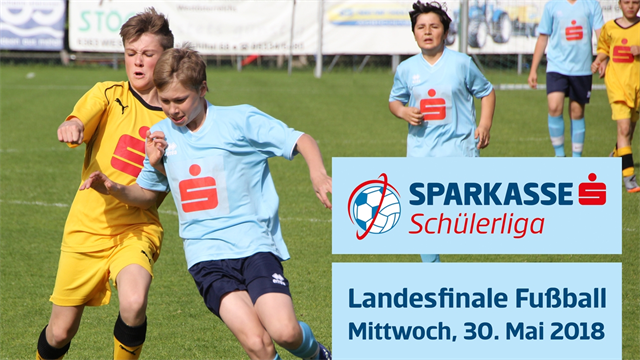 Schuelerliga_Landesfinale (1)