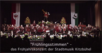 Stadtmusik_Frühlingsstimmen2017