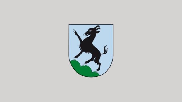 Wappen Kitzbuehel